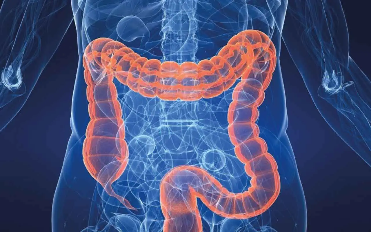 Come sostenere la salute del microbiota intestinale a giugno: la guida aggiornata degli esperti Come sostenere la salute del microbiota intestinale a giugno: la guida aggiornata degli esperti
